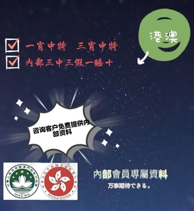 澳门王中王三中三资料揭秘,澳门王中王三中三资料揭秘，揭秘背后的真相与风险