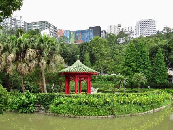 香港正版资料免费大全铁,探索香港正版资料，免费大全的铁律与真相