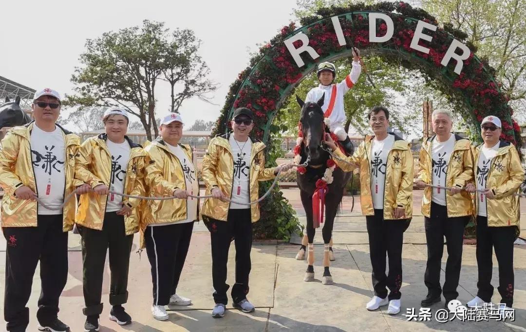 马会传真资料澳门澳门传真,澳门马会传真资料，揭秘澳门赛马文化的独特魅力