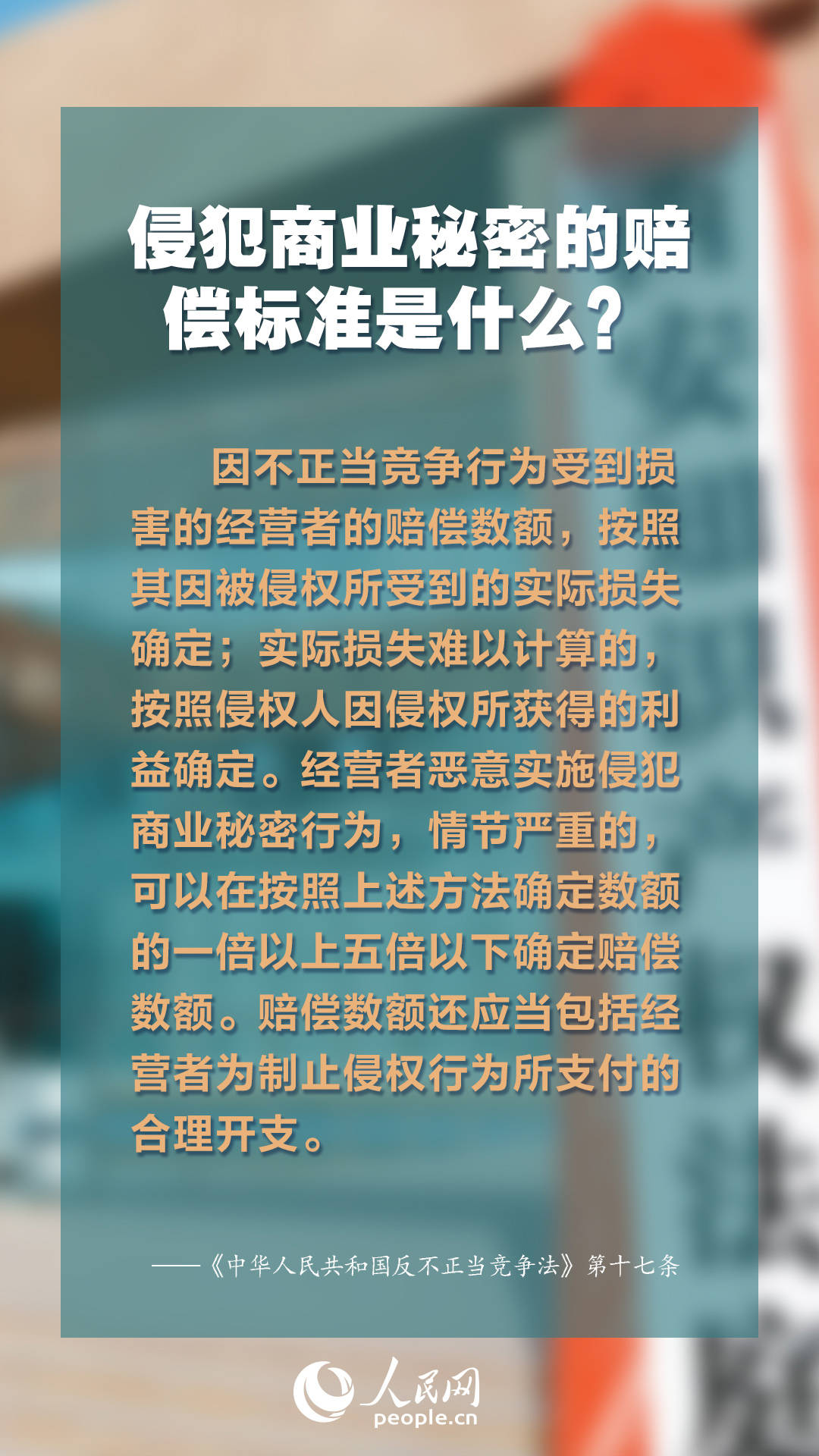 2025新奥门正牌资料大全,2025新奥门正牌资料大全，全面解析与未来展望