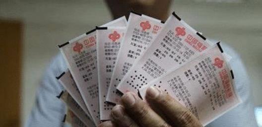 白小姐四不像一肖开奖,揭秘白小姐四不像一肖开奖，数字背后的奥秘与彩民的期待