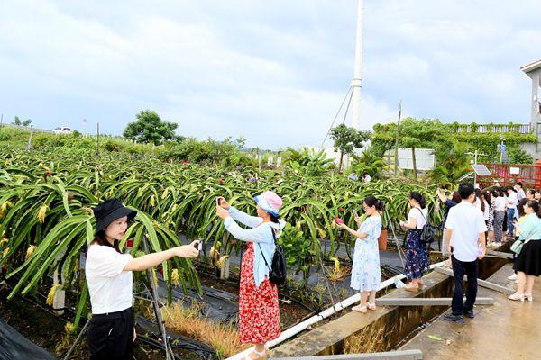 2025新澳精准,2025新澳精准，重塑未来农业的智能引擎