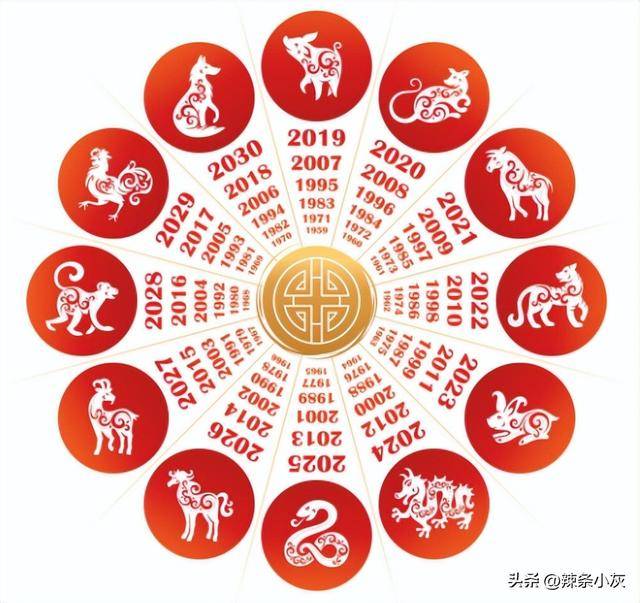 婆家一肖的独特文化密码,婆家一肖，解锁独特文化密码的神秘钥匙