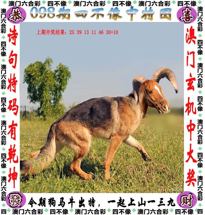 百科 第66页