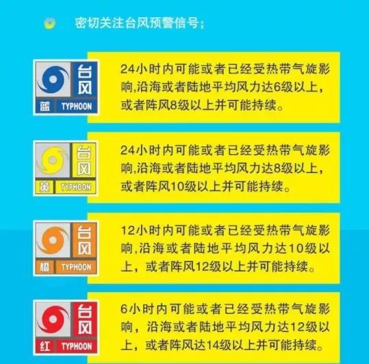 新奥门免费全年资料查询,探索新奥门，免费全年资料查询的全面指南