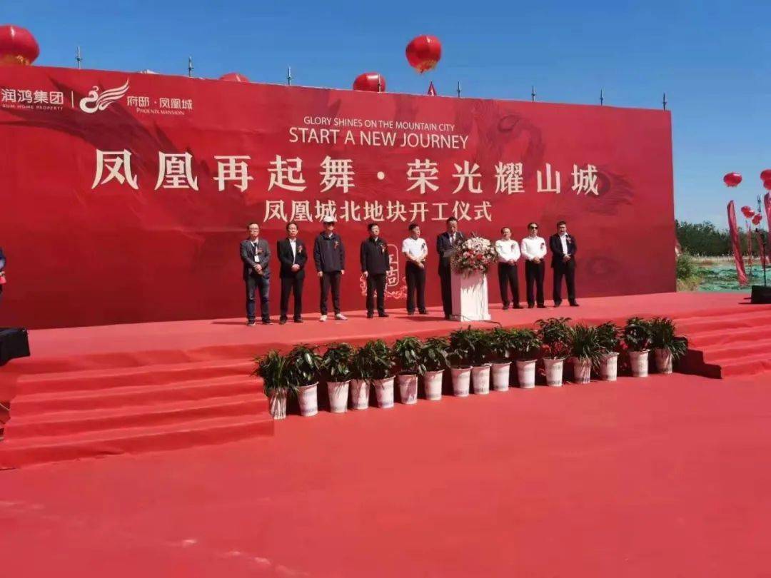 凤凰论坛免费资料大全,凤凰论坛，免费资料大全的宝藏之地